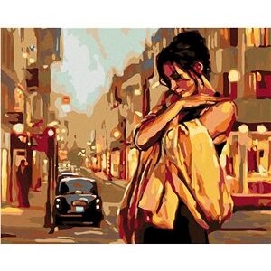 Maľovanie podľa čísel – Osamelá žena na ulici