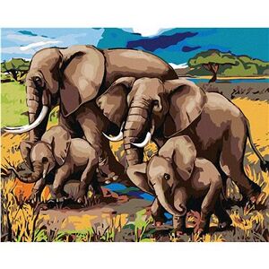Maľovanie podľa čísel – Rodinka slonov
