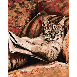 Maľovanie podľa čísel – Mačka s okuliarmi