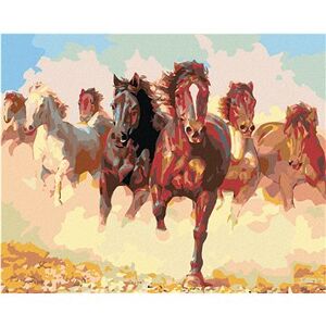Maľovanie podľa čísel – Stádo koní