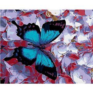 Maľovanie podľa čísel – Modrý motýľ a kvietky