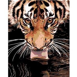 Maľovanie podľa čísel – Tiger pri vode