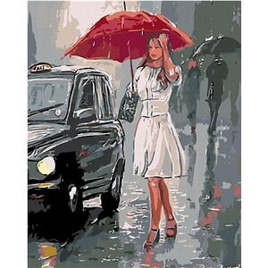 Maľovanie podľa čísel – Žena pri aute v daždi
