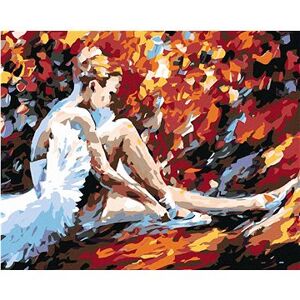 Maľovanie podľa čísel – Sediaca baletka