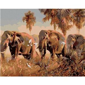 Maľovanie podľa čísel – Slony na savane