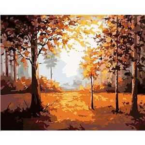 Maľovanie podľa čísel – Jesenný les