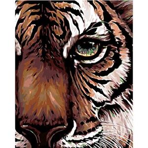 Maľovanie podľa čísel – Pohľad tigra