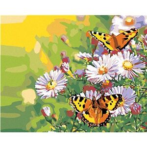 Maľovanie podľa čísel – Motýliky na margarétach
