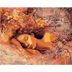 Maľovanie podľa čísel – Spiaca žena