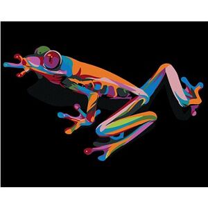 Maľovanie podľa čísel – Farebná žabka