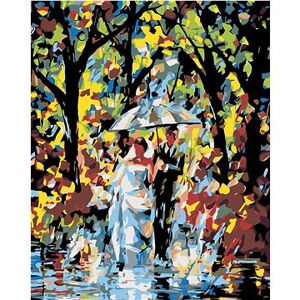 Maľovanie podľa čísel – Nevesta so ženíchom v daždi