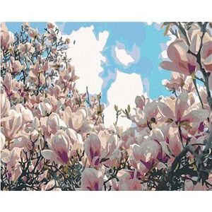 Maľovanie podľa čísel – Kvitnúca magnólia