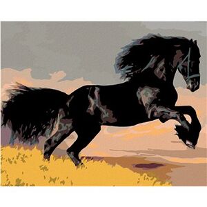 Maľovanie podľa čísel – Čierny kôň