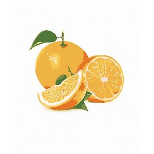 Maľovanie podľa čísel – Pomaranč