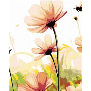 Maľovanie podľa čísel – Kvety na lúke