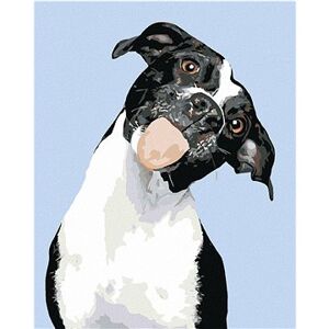 Maľovanie podľa čísel – Čiernobiely pes a vyplazený jazyk