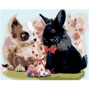 Maľovanie podľa čísel – Šteňa s čiernym králikom