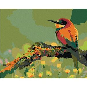 Maľovanie podľa čísel – Malý farebný vtáčik so špicatým zobákom