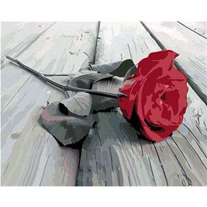 Maľovanie podľa čísel – Položená ruža