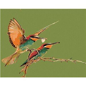 Maľovanie podľa čísel – Dva kolibríky