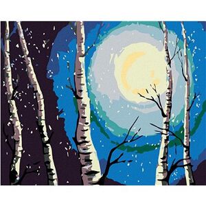 Maľovanie podľa čísel – Brezy, mesiac a padajúci sneh