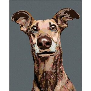 Maľovanie podľa čísel – Pes s nastraženými ušami