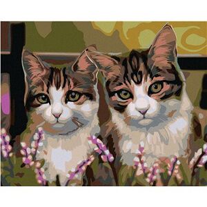 Maľovanie podľa čísel – Mačky v tráve