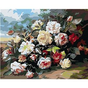 Maľovanie podľa čísel – Divé ruže