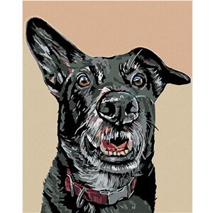 Maľovanie podľa čísel – Čierny pes a nastražené ucho