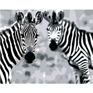 Maľovanie podľa čísel – Pruhované zebry