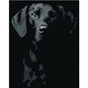 Maľovanie podľa čísel – Čierno-biely pes
