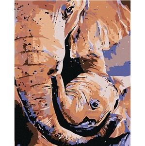 Maľovanie podľa čísel – Slonica a sloníča