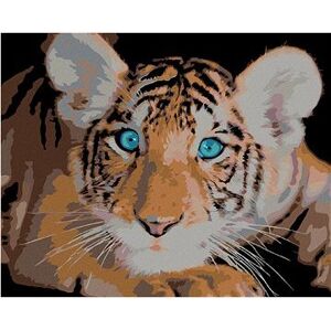 Maľovanie podľa čísel – Tigrík modroočko