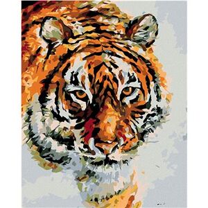 Maľovanie podľa čísel – Tiger na snehu