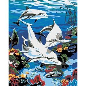 Maľovanie podľa čísel – Delfíny v mori