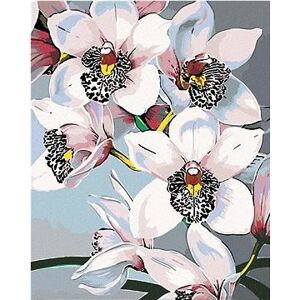 Maľovanie podľa čísel – Nádherné orchidey