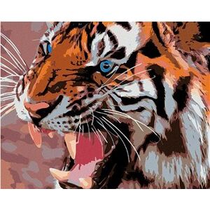 Maľovanie podľa čísel – Modré tigrie oči