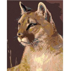 Maľovanie podľa čísel – Puma