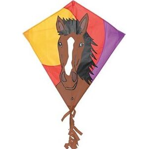 Invento – Eddy Bronco kôň 68 × 68 cm