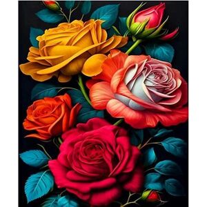 Gaira Malování podle čísel Růže M41389