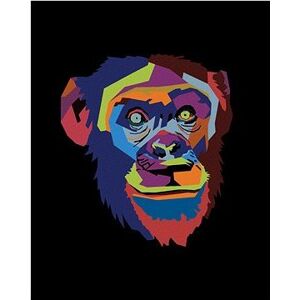 Abstraktná pop-art opica na čiernom pozadí, 80 × 100 cm, bez rámu a bez napnutia plátna