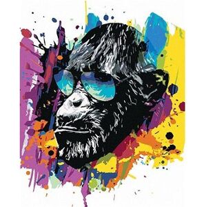 Farebná opica so slnečnými okuliarmi, 80 × 100 cm, vypnuté plátno na rám