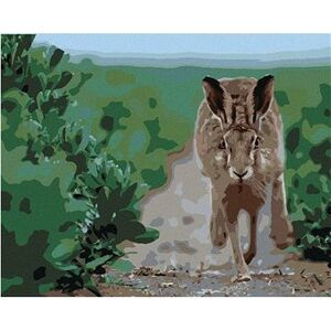 Bežiaci zajac, 40 × 50 cm, bez rámu a bez napnutia plátna