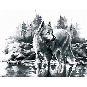 Biely vlk, 40 × 50 cm, bez rámu a bez napnutia plátna