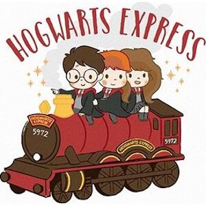 Rokfortský express (Harry Potter), 40×50 cm, bez rámu a bez vypnutia plátna