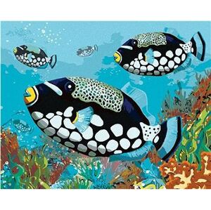 Čierne rybky, 40×50 cm, bez rámu a bez vypnutia plátna