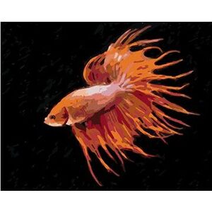 Červená ryba, 40×50 cm, bez rámu a bez vypnutia plátna