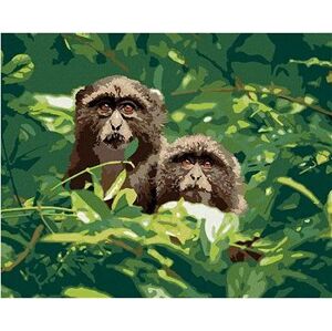 Dve opice v lese v Južnej Afrike, 40×50 cm, bez rámu a bez vypnutia plátna