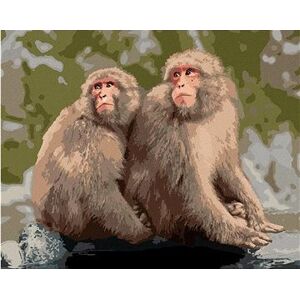 Dve opice v zoo v Japonsku, 40 × 50 cm, plátno napnuté na rám
