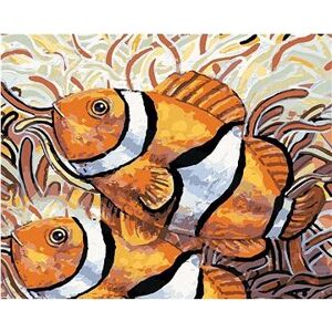 Dve ryby Nemo, 40 × 50 cm, plátno napnuté na rám